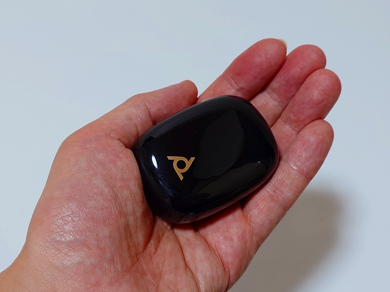 Poly Voyager Free 20の充電ケース